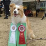 AG1IM★安田ティナ