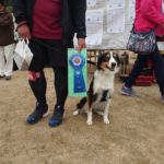 AG2L★須澤あもる