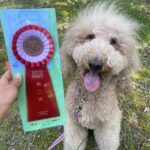 CD2第9部★木原クレア