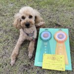 AG2S★深松＆カンカン