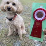 AG1S★深松＆ボタン