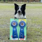 京都長岡京トレーナーズクラブアジリティー競技会2024年5月19日