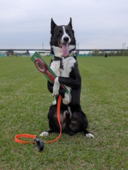 オビディエンス1★木本テトラ