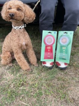 ビギナー1&2★小川ムギ