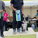 AG3IM★山本ブルー