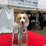 AG&JP1IM★安田ティナ