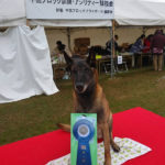 中国ブロック訓練競技会2024年11月17日