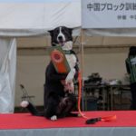 OB1★木本テトラ