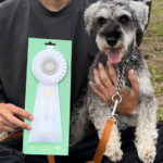 JP2S★水沼エルマー