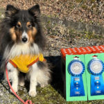 AT1&AT2M★村上ビート