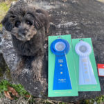 九州ブロックアジリティー競技会2024年12月22日