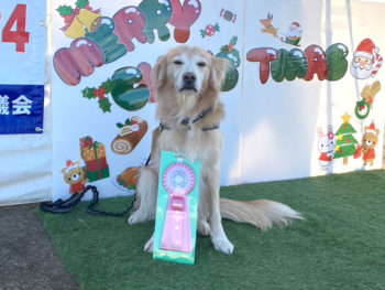 JP1L★濱谷ユキチ