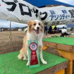 四国ブロックアジリティー競技会2024年12月28日