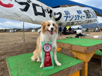 AG2IM★安田ティナ