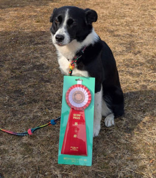 JP3IM★佐々木ウミ