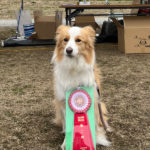 AG2IM★安田ティナ