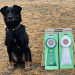 兵庫県トレーナーズクラブアジリティー競技会2025年2月2日