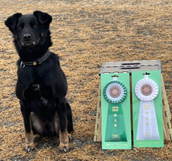 AG1＆JP1L★深松よし