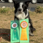 AG＆JP3IM★山本ブルー