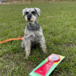 AG3S★水沼エルマー