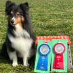 BG1&2★村上ビート（M)