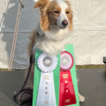 AG2＆JP2★安田ティナ（IM）