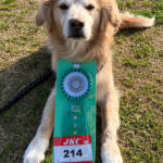 九州ブロックアジリティー競技会2025年3月8日