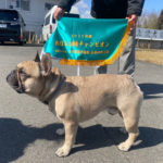 2025年度 春季西日本訓練チャンピオン決定競技会 2025年2月23日（日）