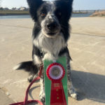 JP3★山本ブルー（IM）