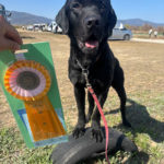 井本エド★CD2プロＡ班