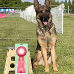 第108回 2025春季訓練競技会（本部・吉見）2025年4月26日