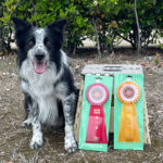 AG3＆JP3IM★ブルー