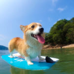 2025ラスト海水浴ディ！