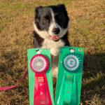 AG3＆JP3IM★佐々木ウミ