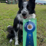 JP3IM★山本ブルー