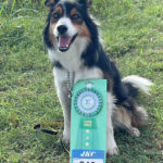 大阪北ワンズユニティアジリティークラブアジリティー競技会2025年10月5日