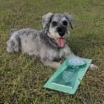 AG3S★水沼エルマー