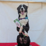 OB2★木本テトラ