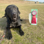 OBビギナー2★エド