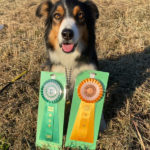 AG1＆JP1IM★チョビ