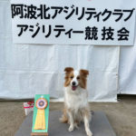 【競技会結果】阿波北アジリティークラブアジリティー競技会2025年11月24日