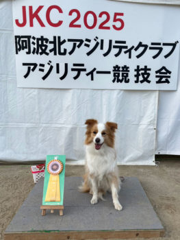 AG2IM★安田ティナ