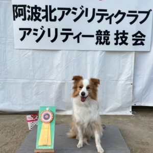 【競技会結果】阿波北アジリティークラブアジリティー競技会2025年11月24日