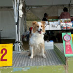 JP2IM★安田ティナ