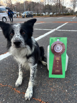 AG3IM★山本ブルー