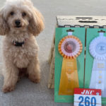 AG2＆JP2M★ぼたん