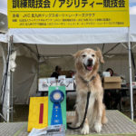 【競技会結果】 北九州ドッグスポーツトレーナーズクラブアジリティー競技会2025年12月7日