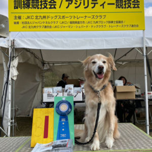 【競技会結果】 北九州ドッグスポーツトレーナーズクラブアジリティー競技会2025年12月7日