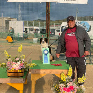 強風の中の挑戦！JKC高知トレーナーズクラブ アジリティー競技会（香南市・のいちふれあい広場）レポート