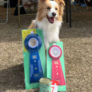 長崎ウィズワンアジリティークラブアジリティー競技会｜強風の中でも堂々の入賞ラッシュ!